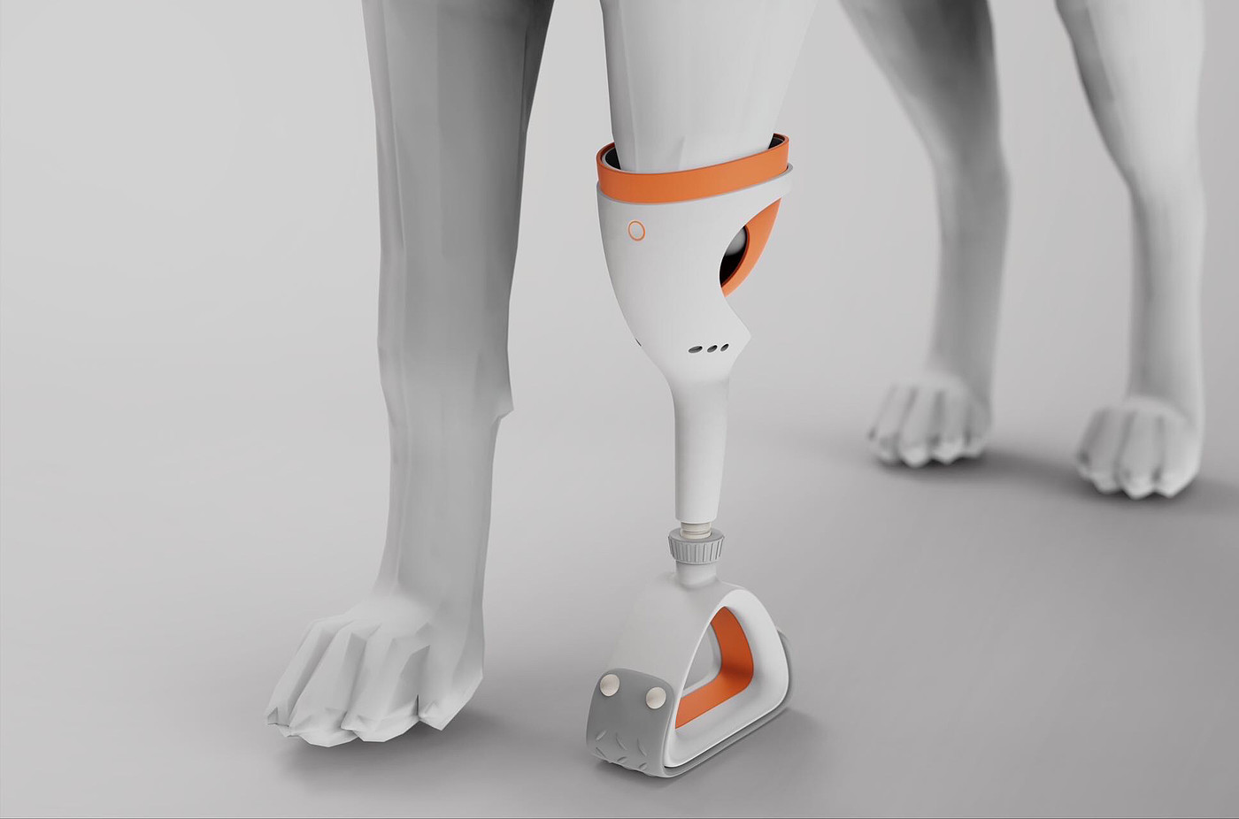 Pet Prostheses，Dog Prostheses，3D printing，Service design，detector，Sharing Platform，severed limb，Medical products，