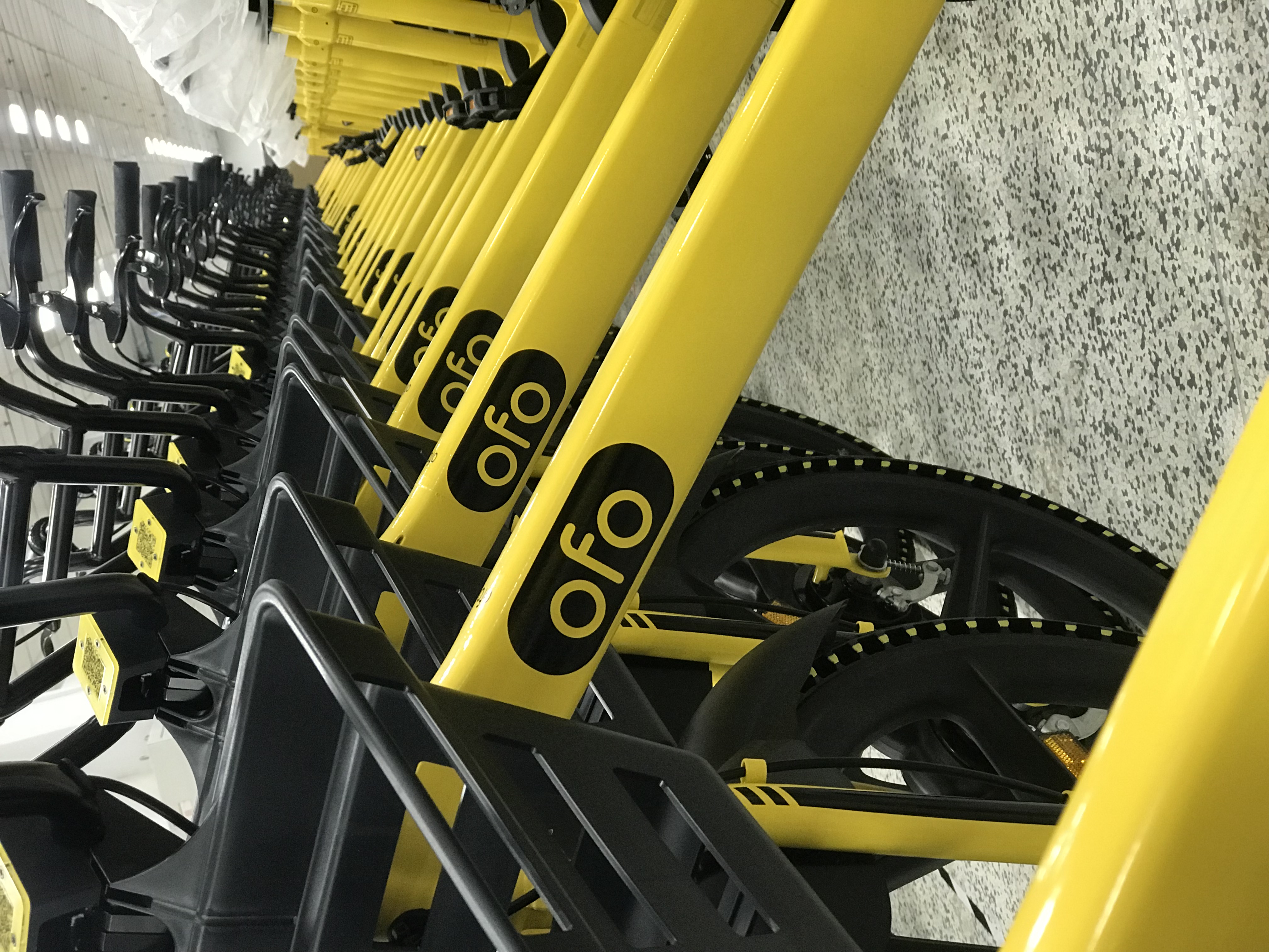 Bike sharing，ofo，Processing technology，Bicycle，Bicycle，