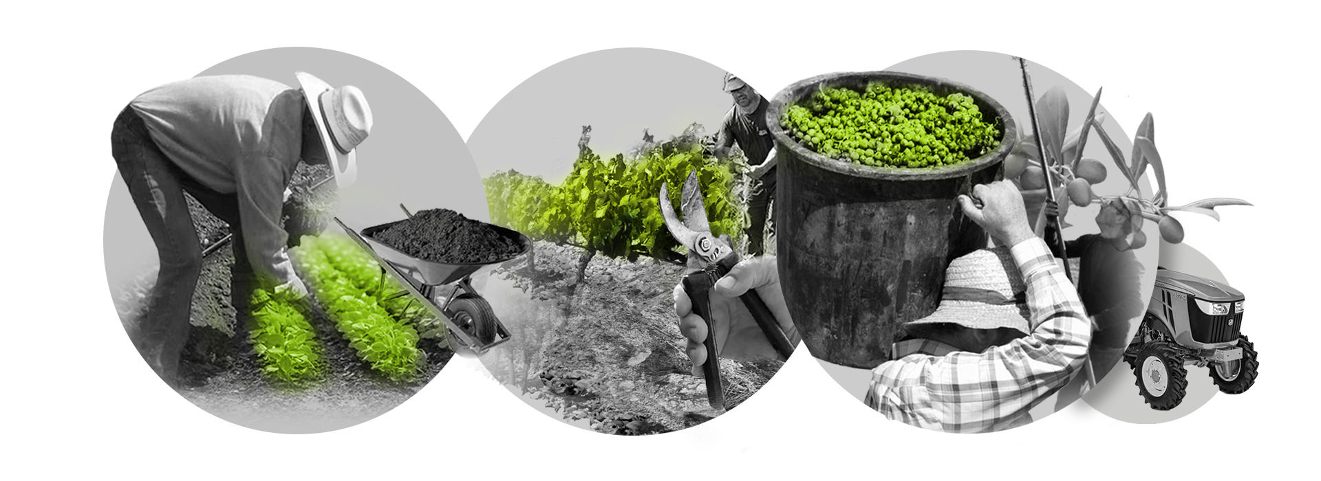 HARTO，Agriculture，mobility，service，