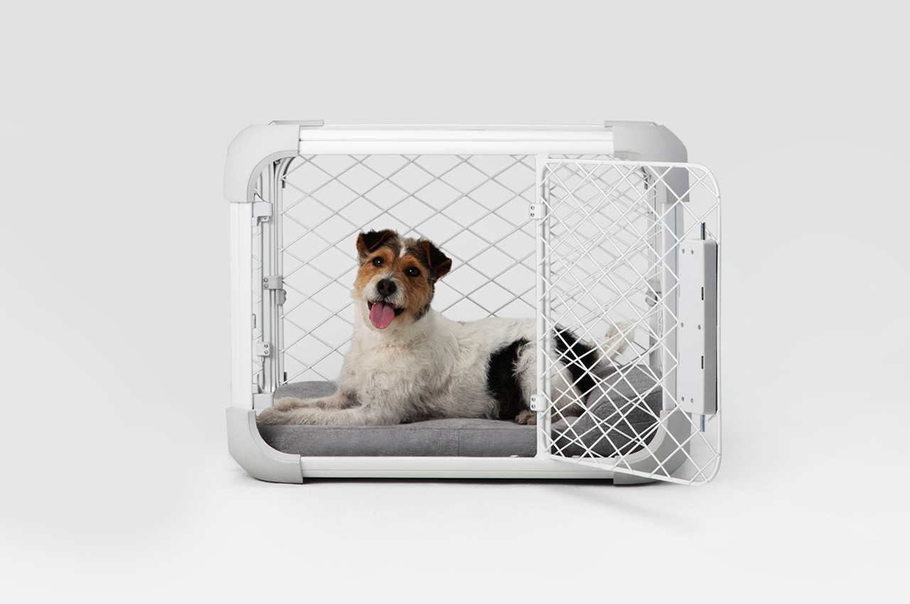 Evolv，dog cage，Dog，