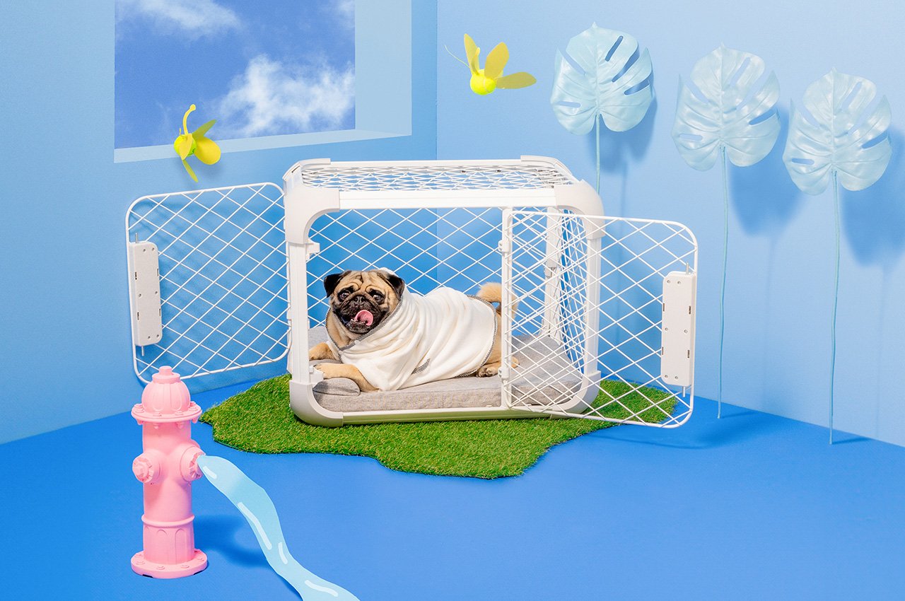 Evolv，dog cage，Dog，
