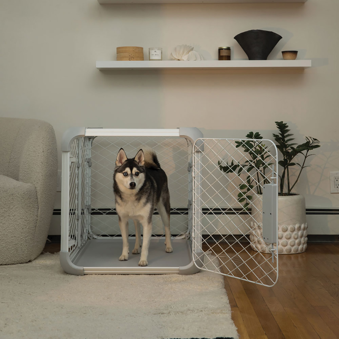 Evolv，dog cage，Dog，