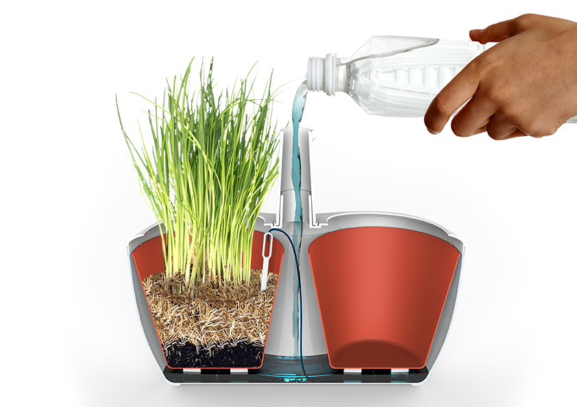 Potted plants，Flowerpot，product design，industrial design，