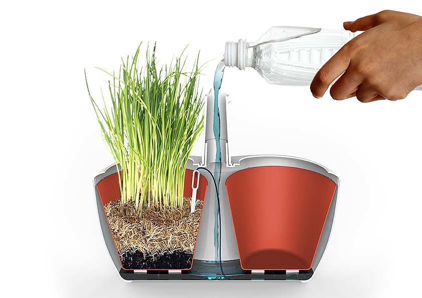 Potted plants，Flowerpot，product design，industrial design，