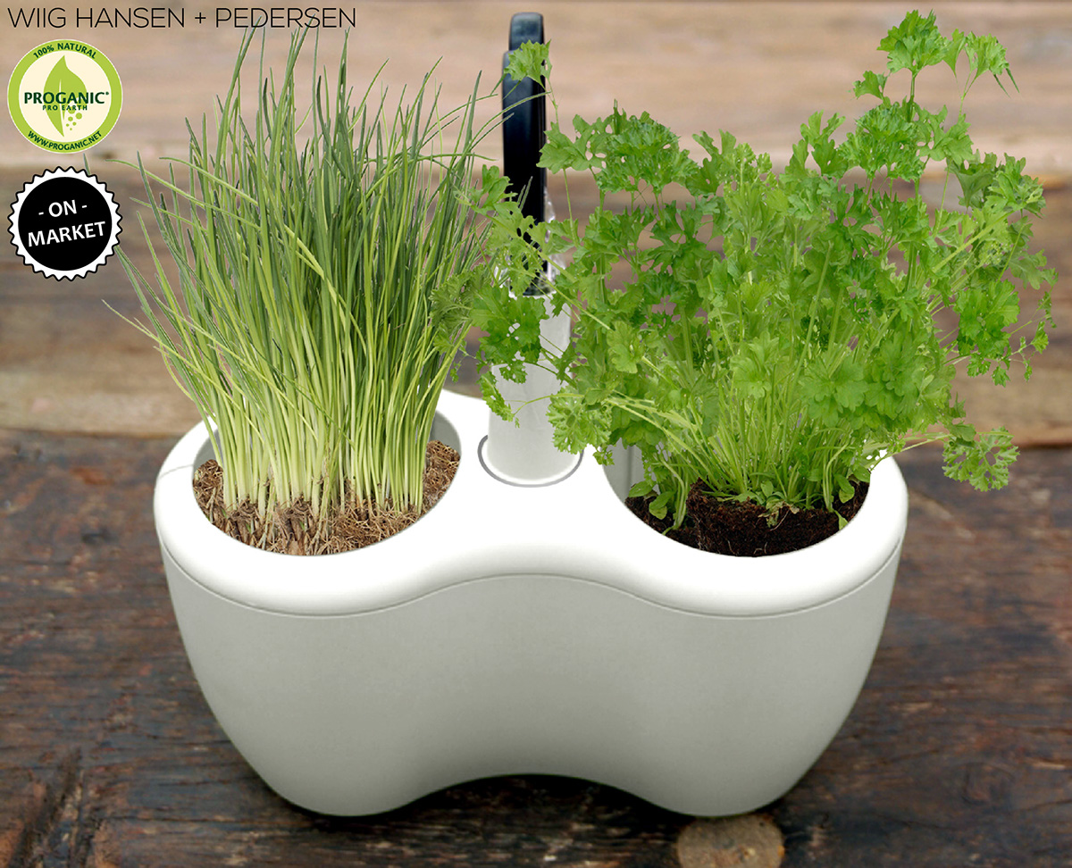 Potted plants，Flowerpot，product design，industrial design，