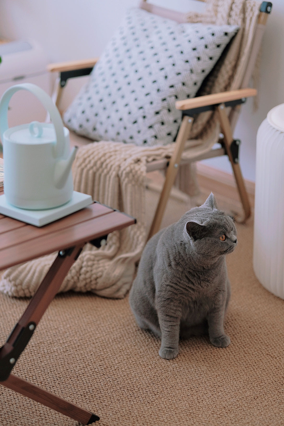 Into a tea appliance，Jingyue Beiliang Pot，small home appliances，product design，Beam lifting kettle，Minimalist design ，tea culture，Household products，