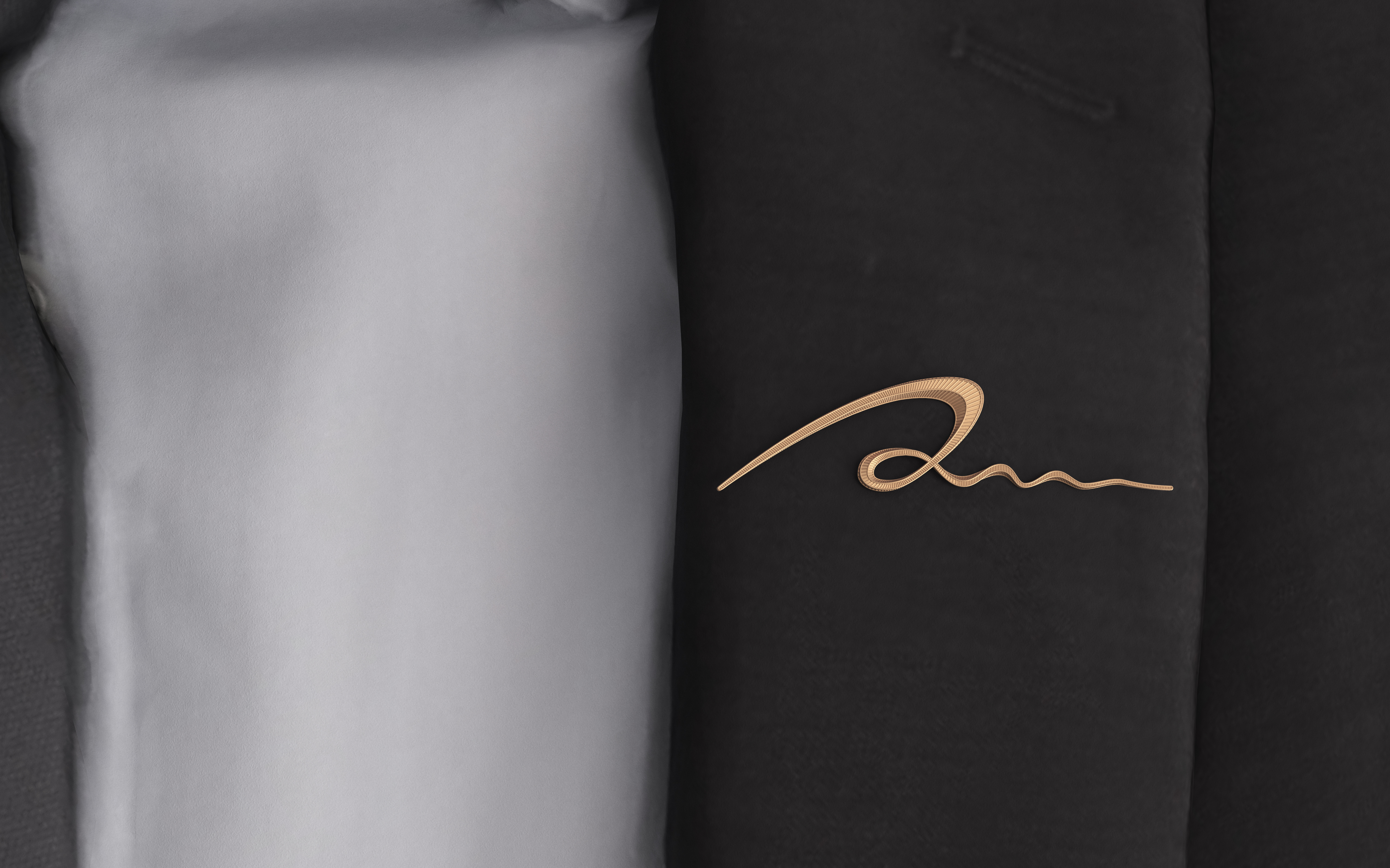 Logo design，ornaments，Brooch，