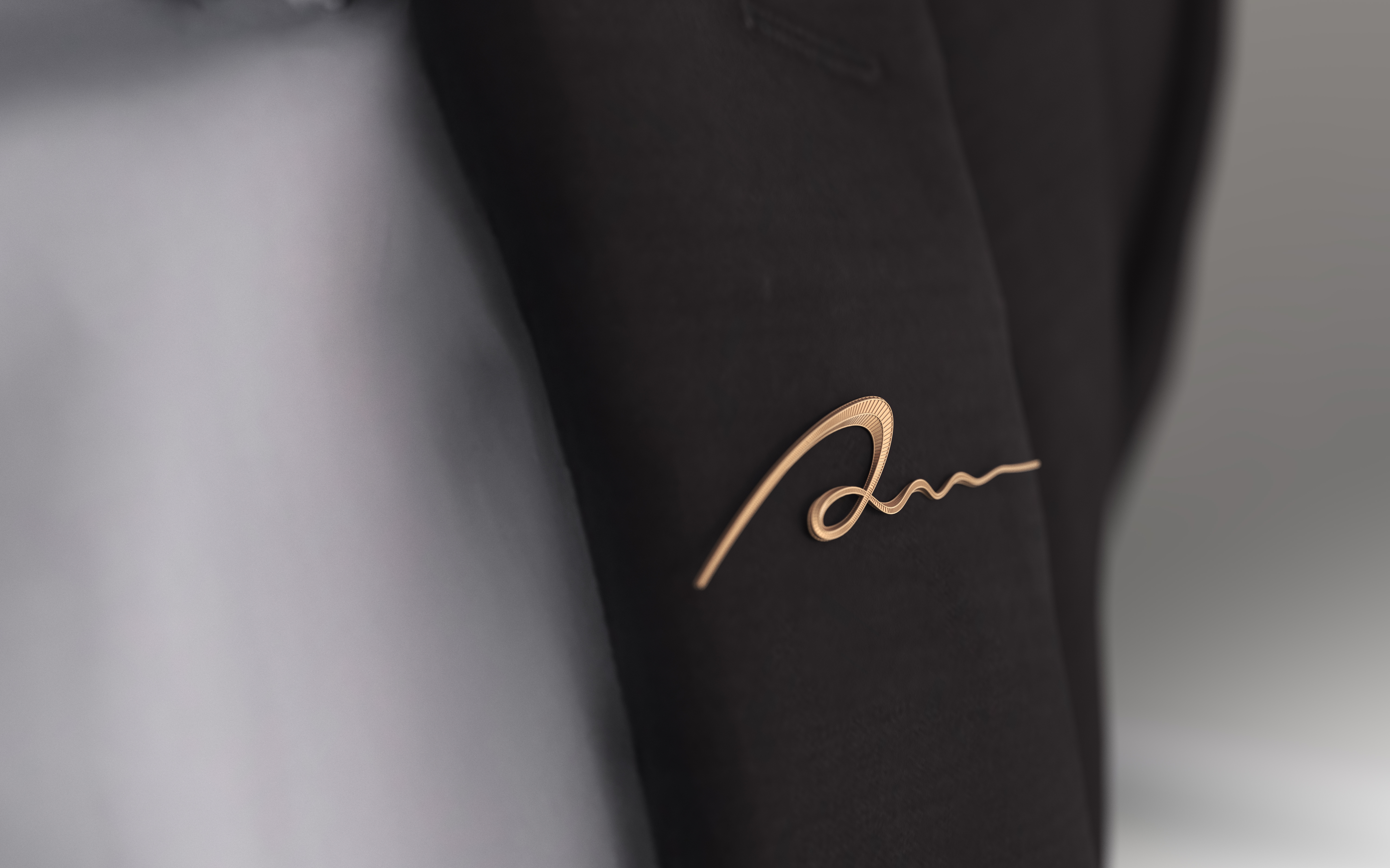 Logo design，ornaments，Brooch，