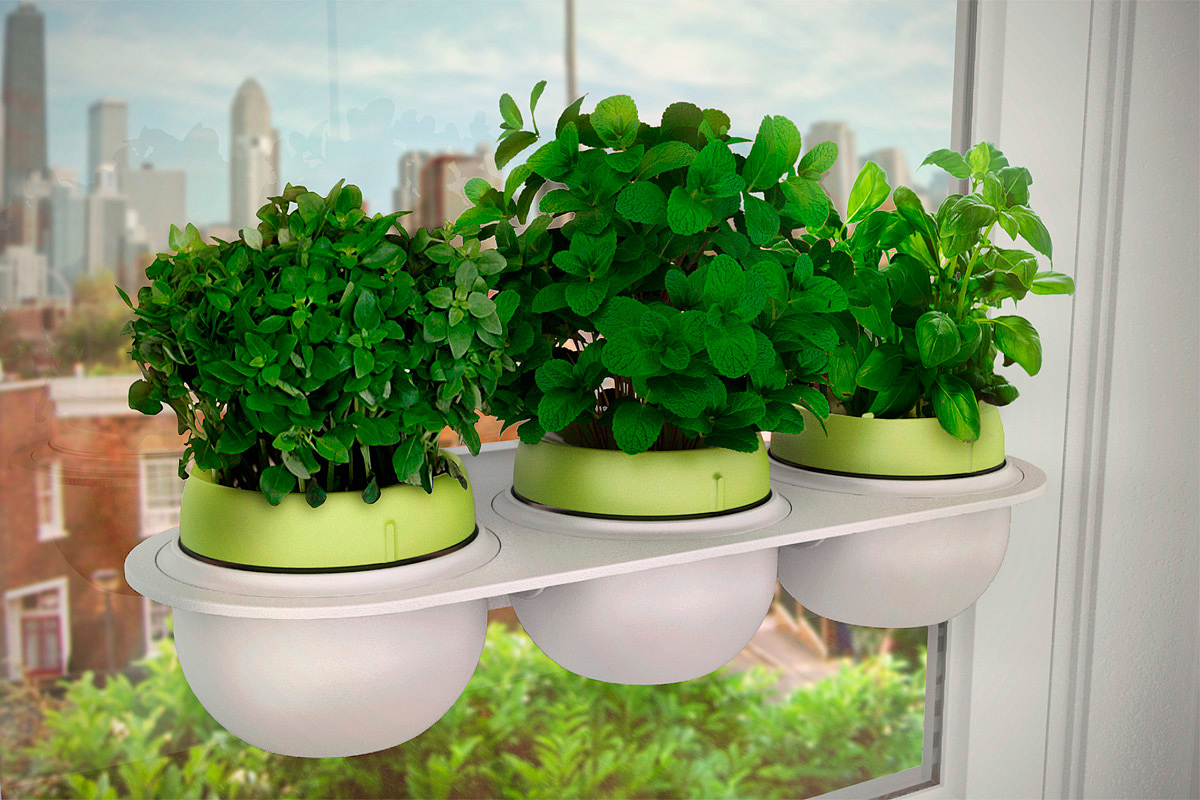 intelligent system，Droponic，Grow food，