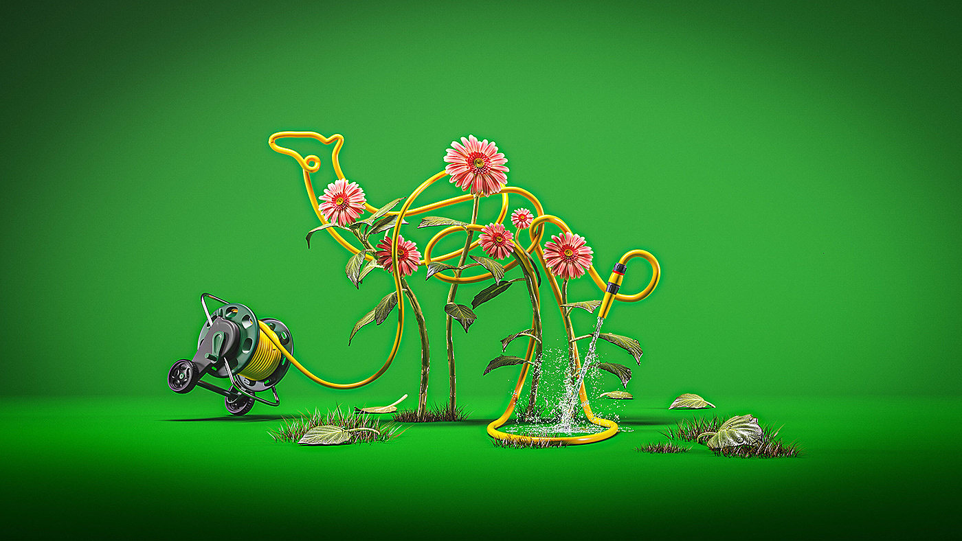 Graphic Artist Designer，Digital art，computer graphics processing，Camel canvas，