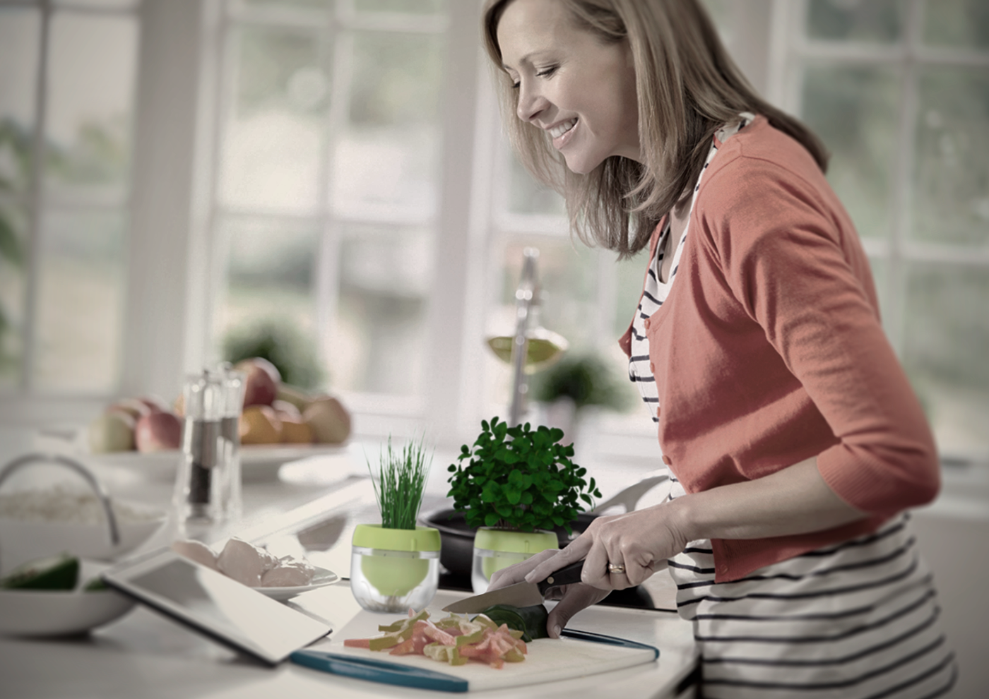 intelligent system，Droponic，Grow food，