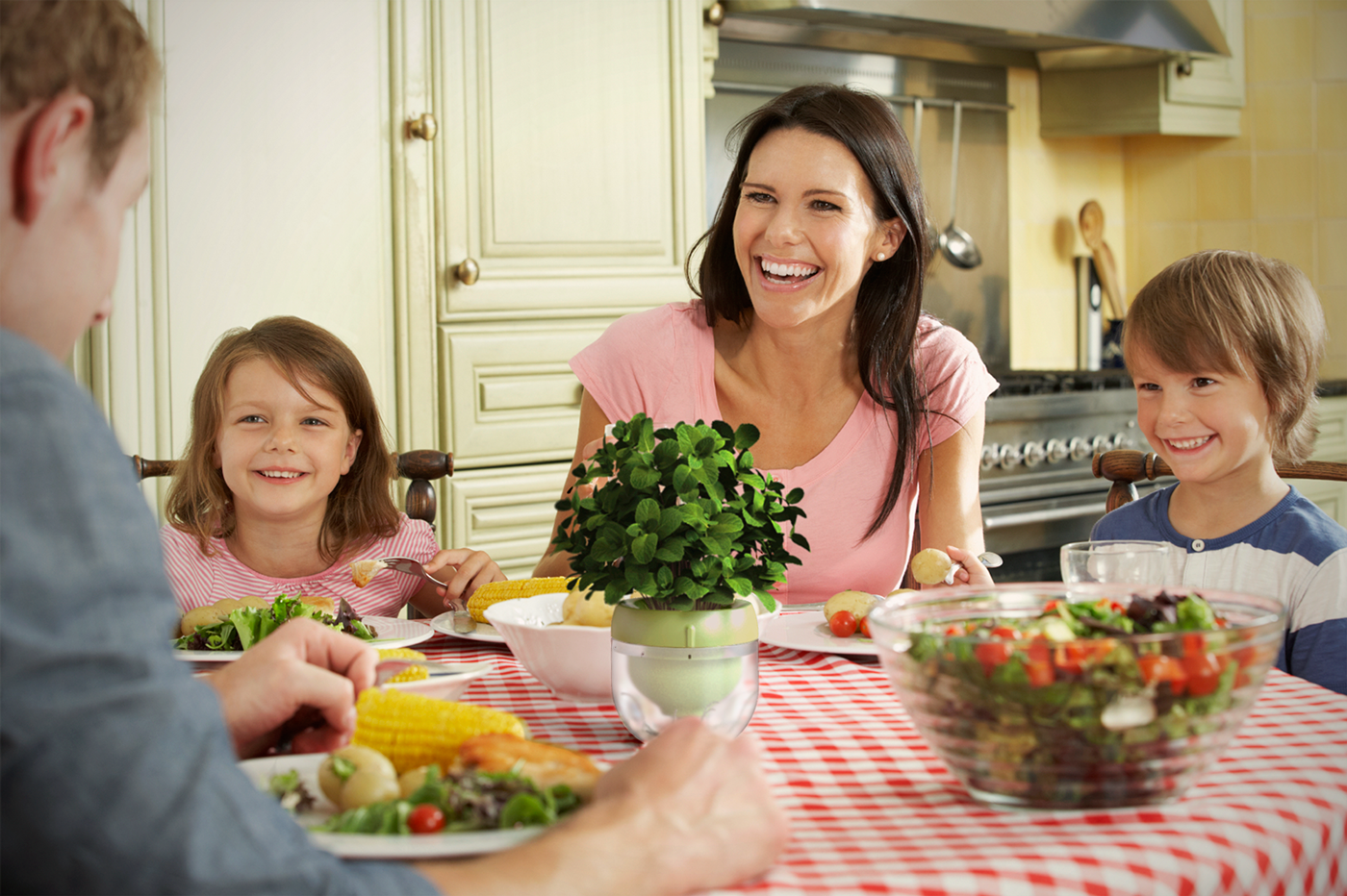 intelligent system，Droponic，Grow food，