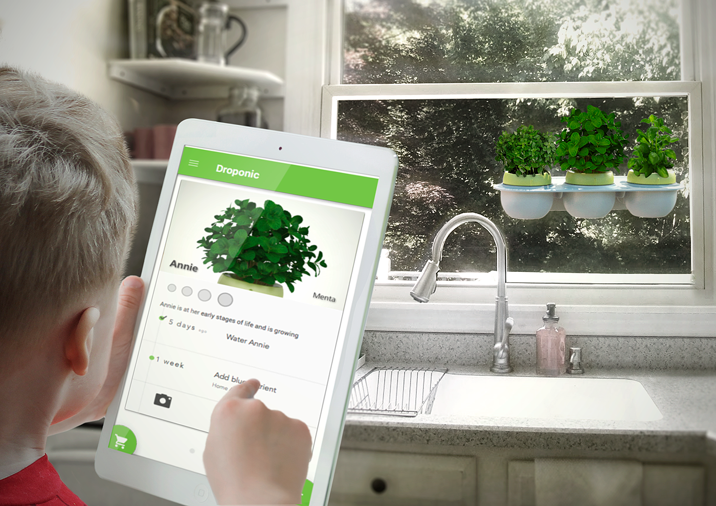 intelligent system，Droponic，Grow food，