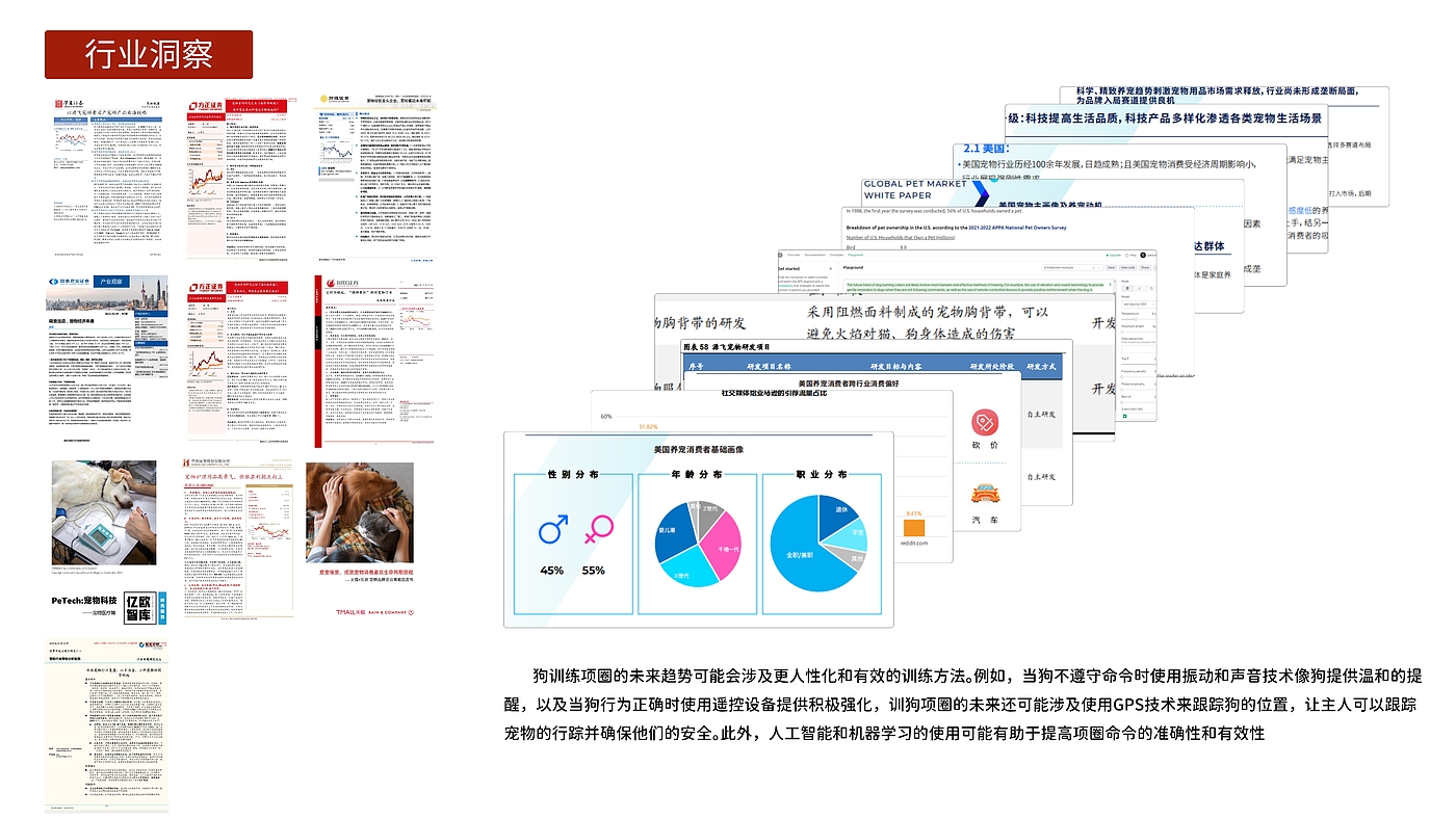 训狗器，宠物用品，训犬项圈，电子设备，原创设计，