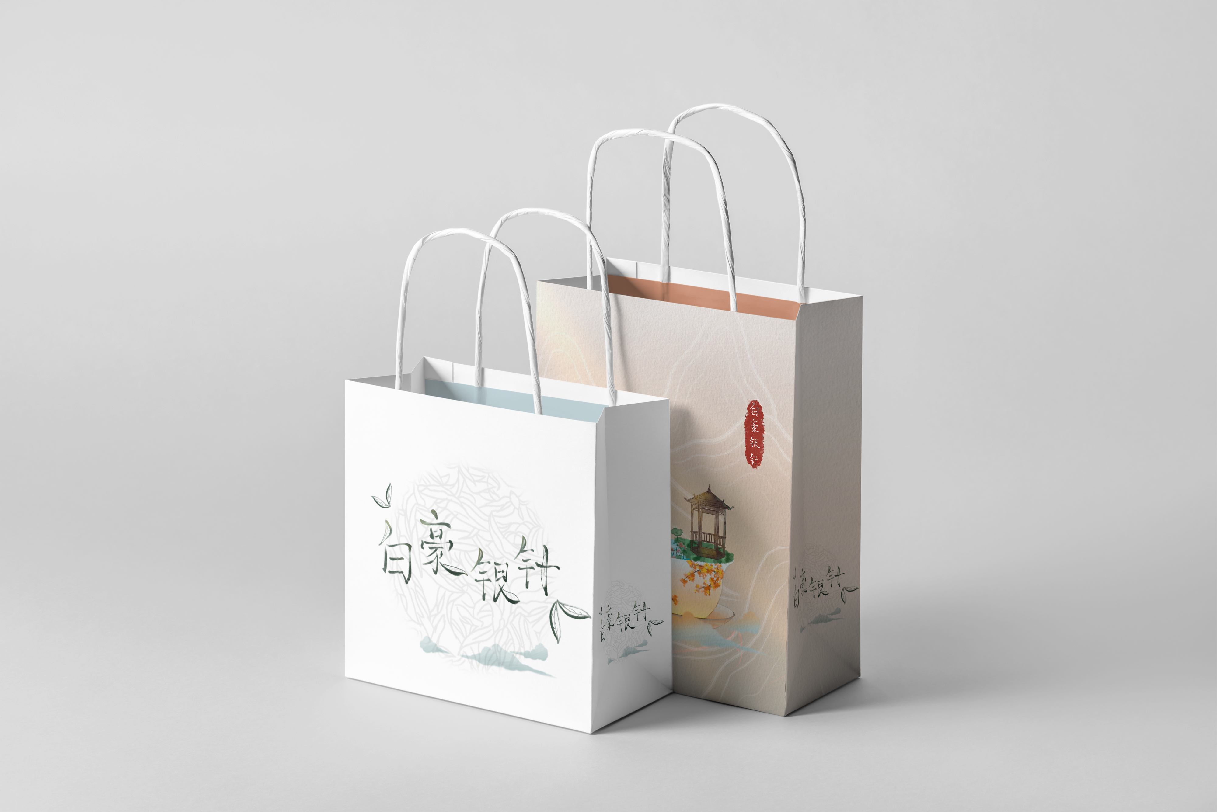 Illustration，National style，student，