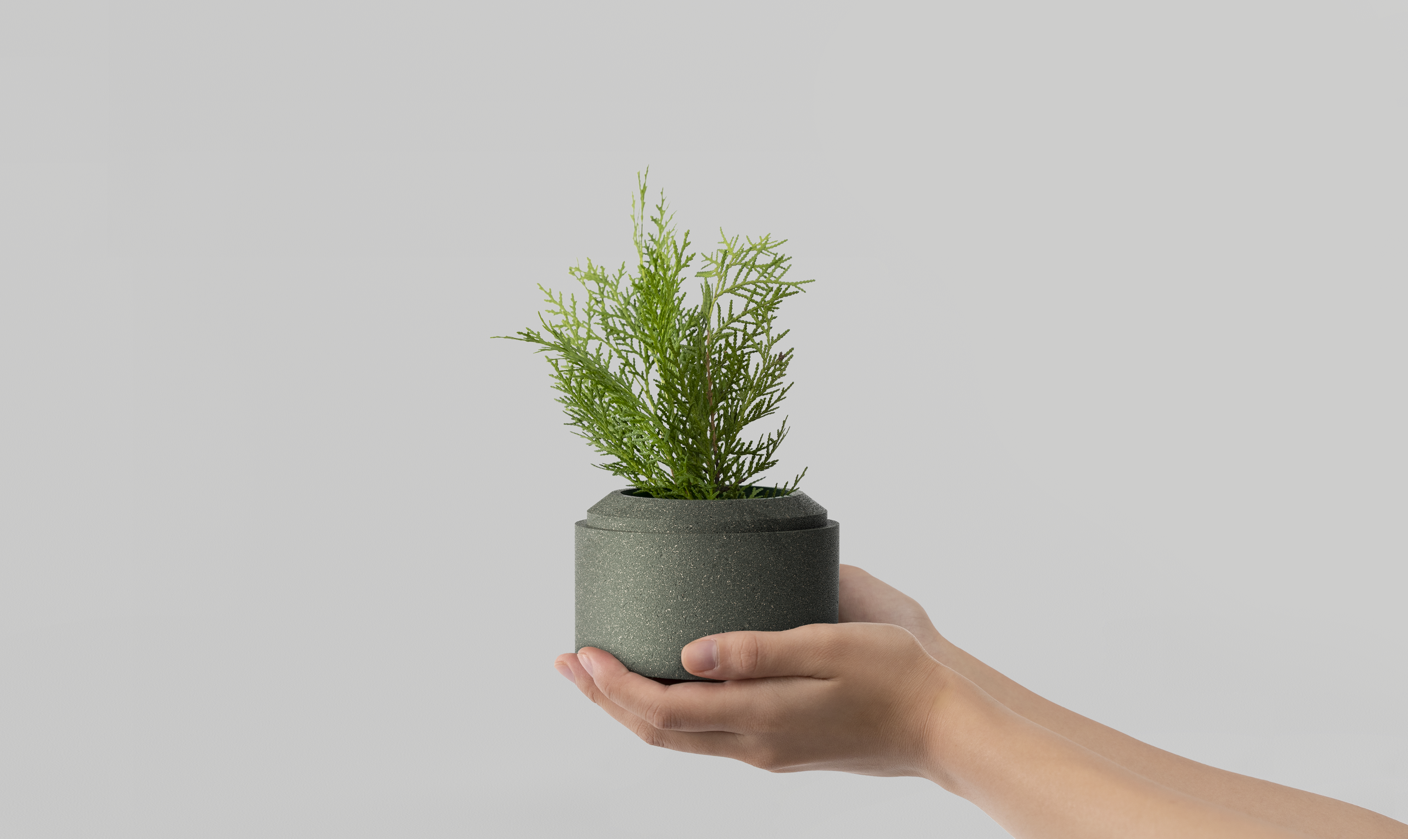 potted plant，3D printing，Model，filament，