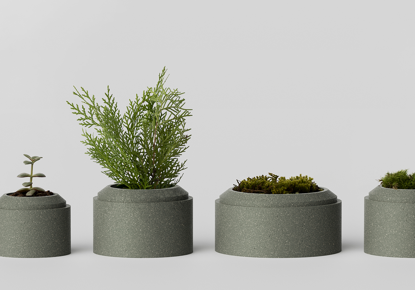 盆栽植物，3d打印，模型，长丝，