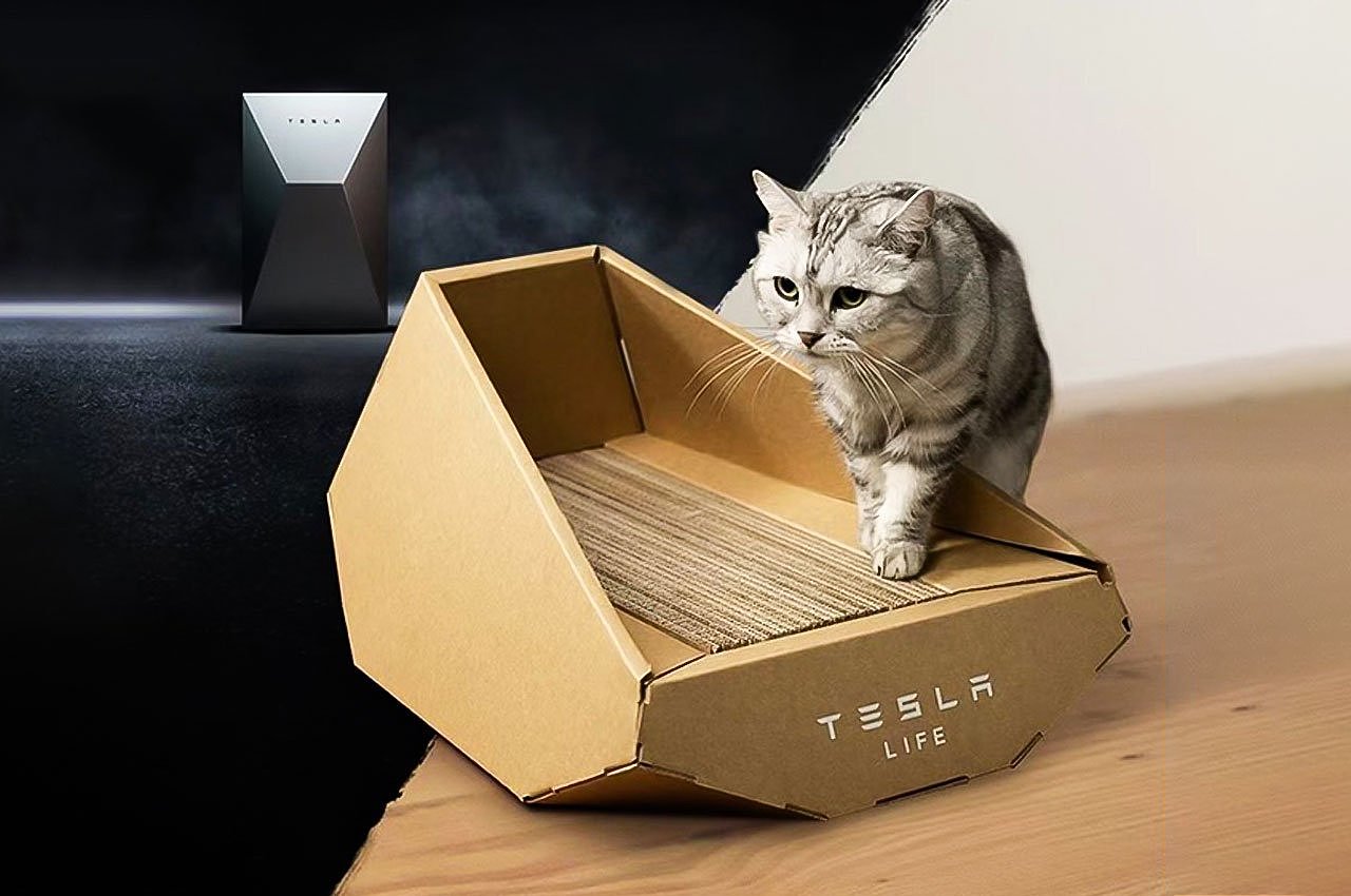 cat，product design，Design，design，tesla，Cat plate，