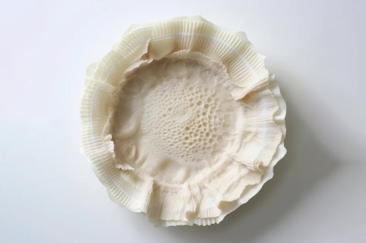 Home Furnishing，ai，product design，plate，