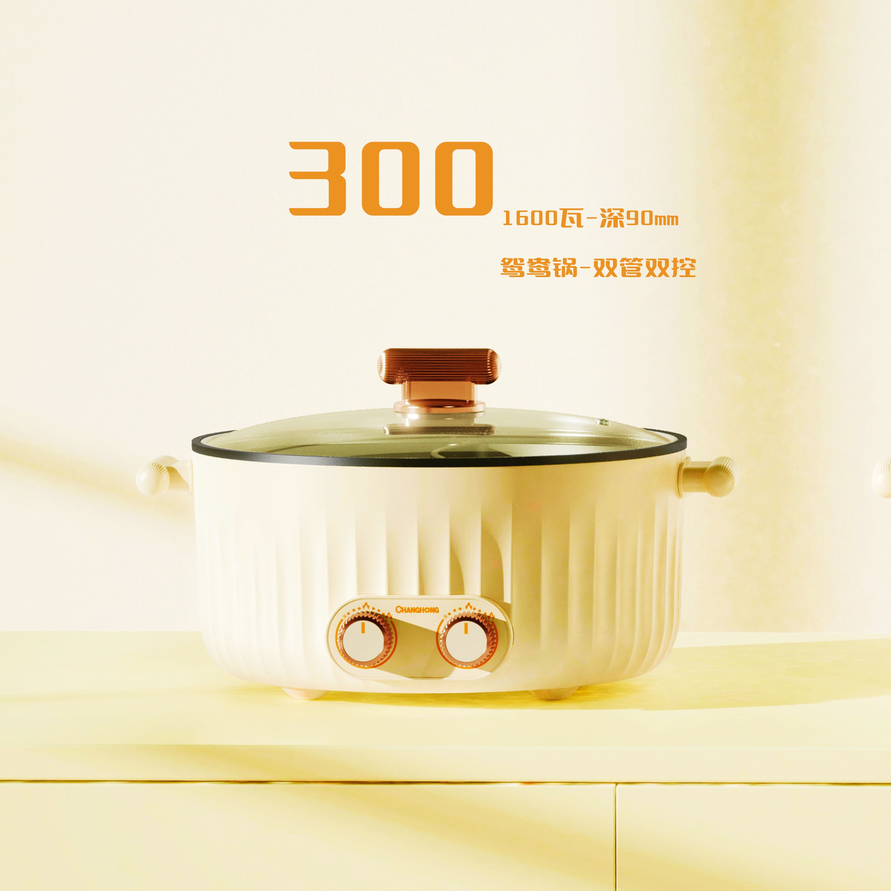 Electric cooker，small home appliances，Household appliances，Kitchen supplies，