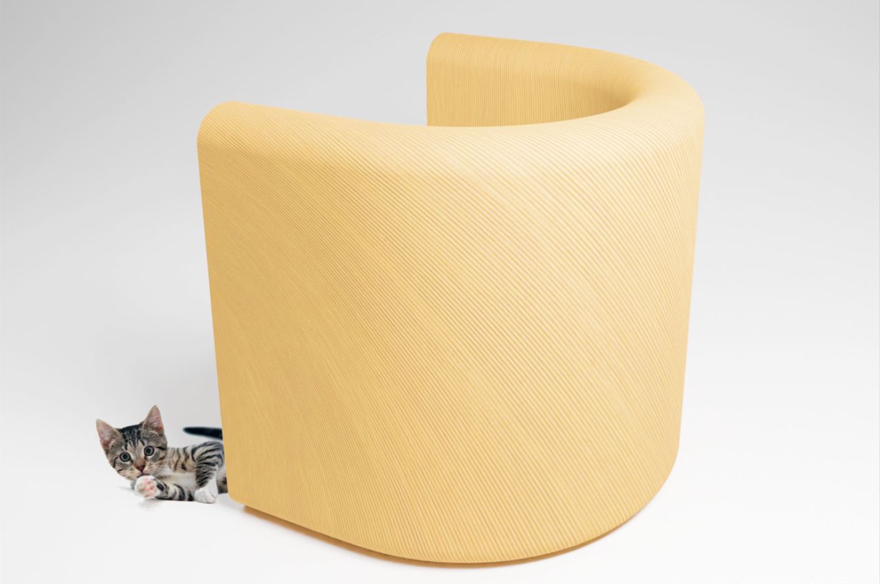 Quella，chair，furniture，originality，