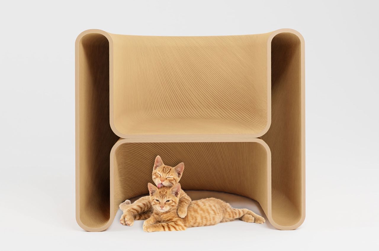 Quella，chair，furniture，originality，