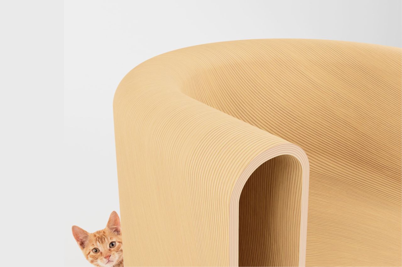 Quella，chair，furniture，originality，