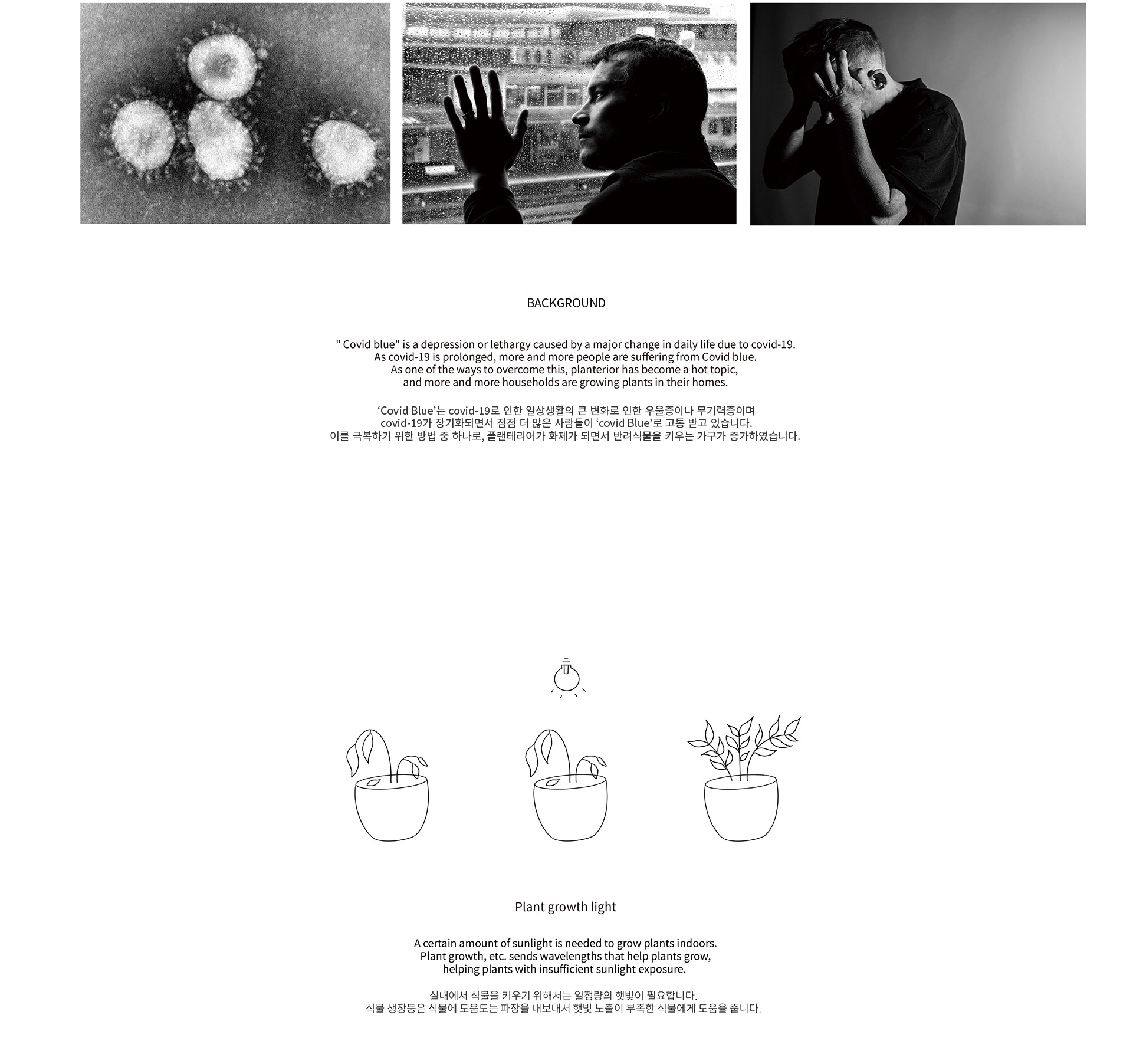 product design，product，industrial design，Botany，lamp，natural，Home Furnishing，