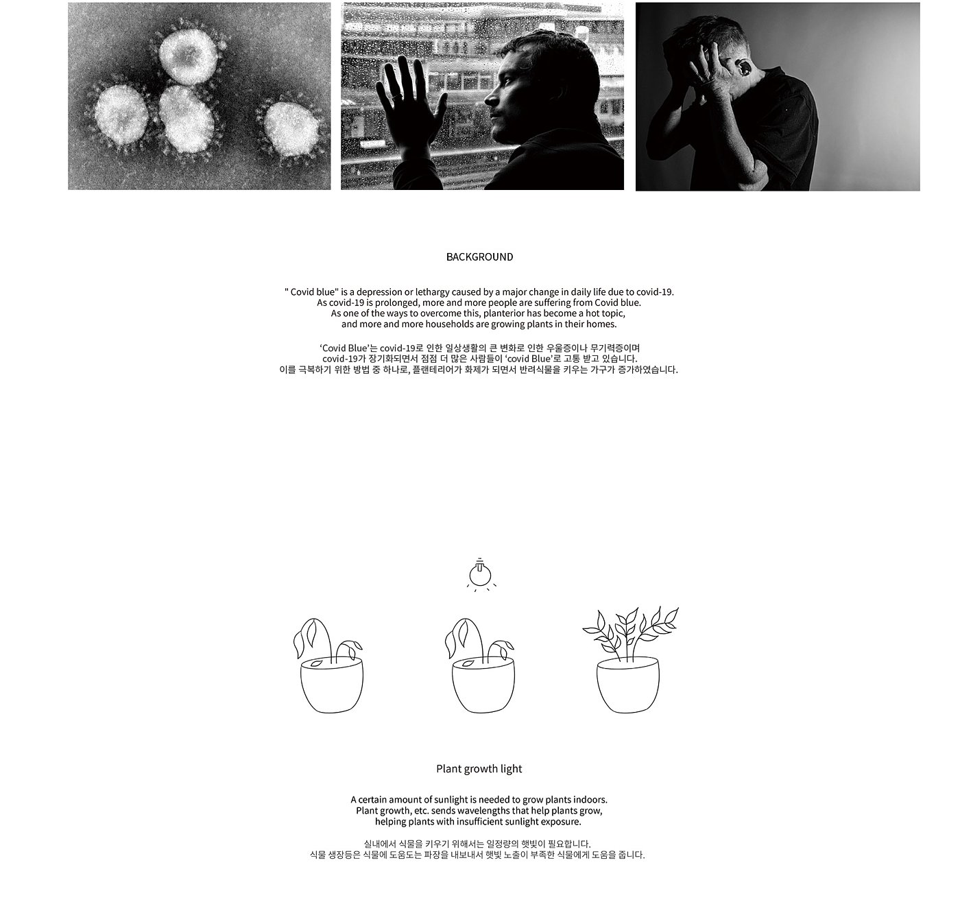 product design，product，industrial design，Botany，lamp，natural，Home Furnishing，