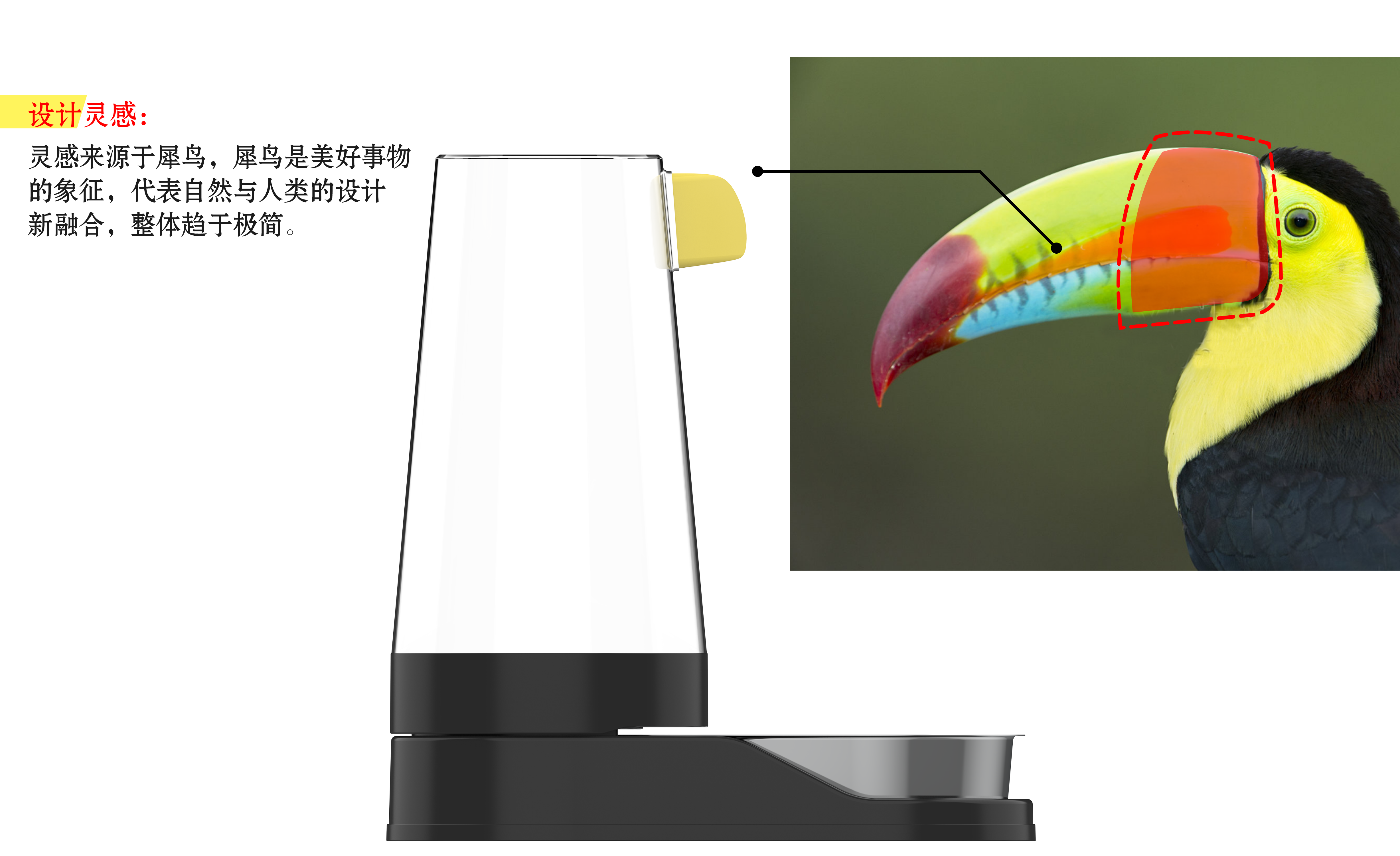 Water feeder，product design，Pets，appearance，