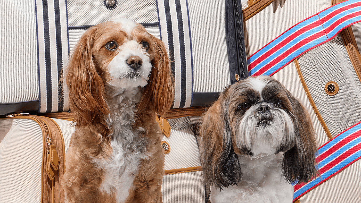 Pet Supplies & Pet，pet knapsack ，Outdoor equipment，originality，