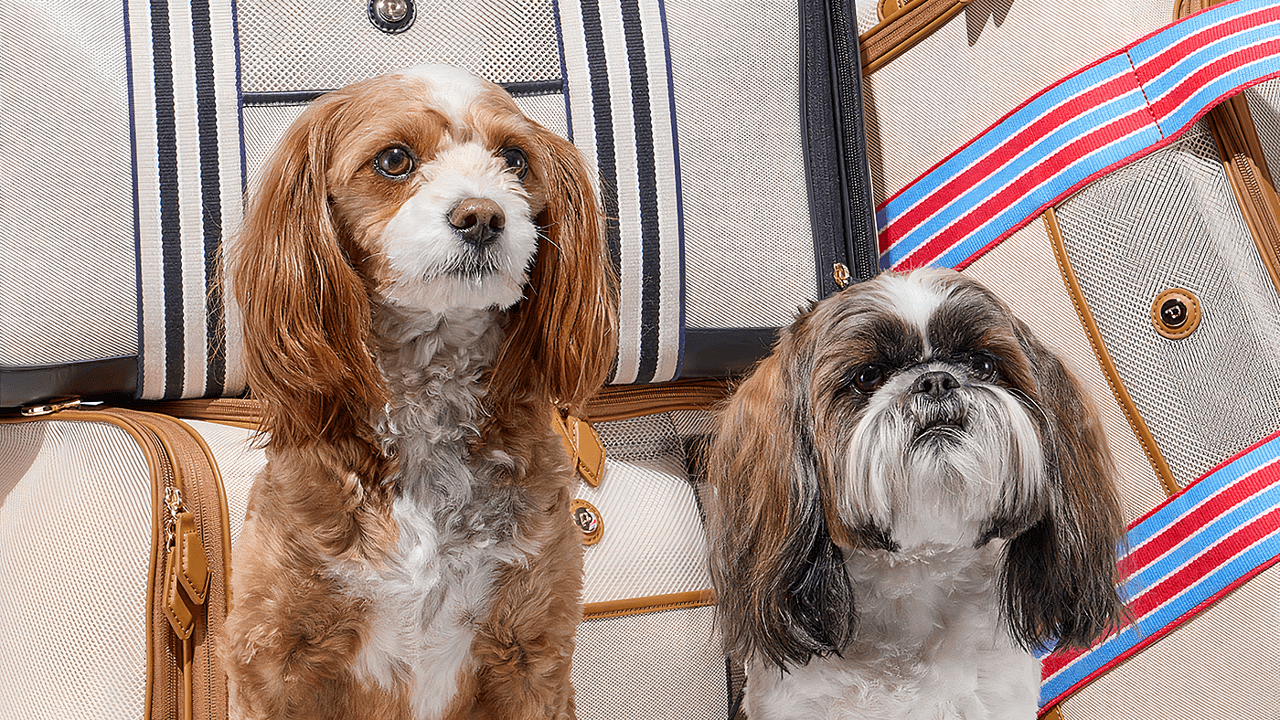 Pet Supplies & Pet，pet knapsack ，Outdoor equipment，originality，
