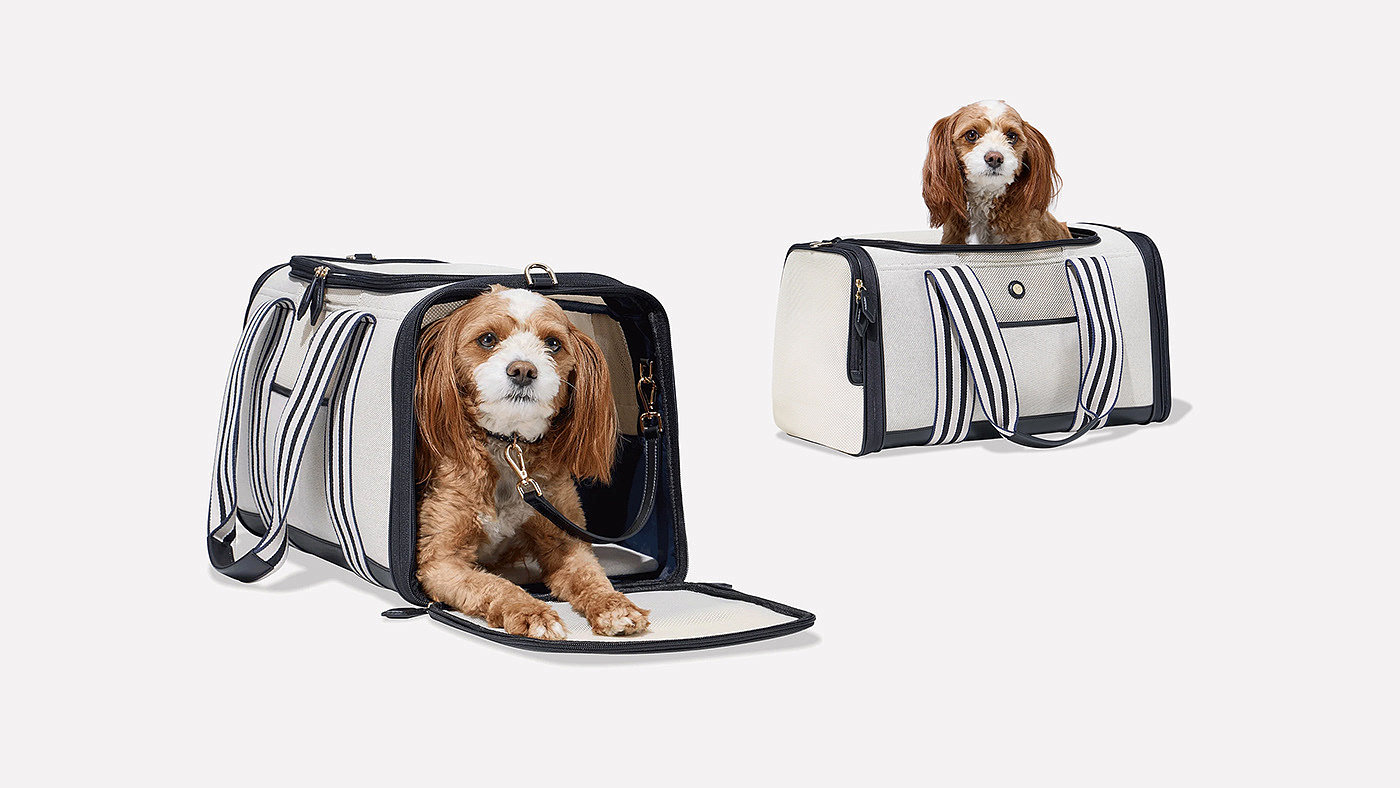 Pet Supplies & Pet，pet knapsack ，Outdoor equipment，originality，