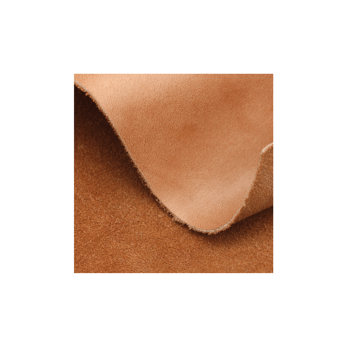 Pet Supplies & Pet，pet knapsack ，Outdoor equipment，originality，