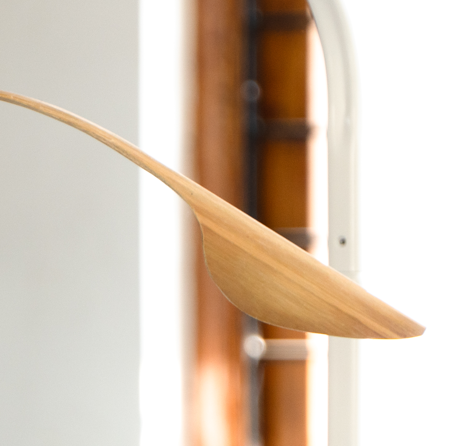 bamboo craft，Bamboo，Seminar，sustainable development，