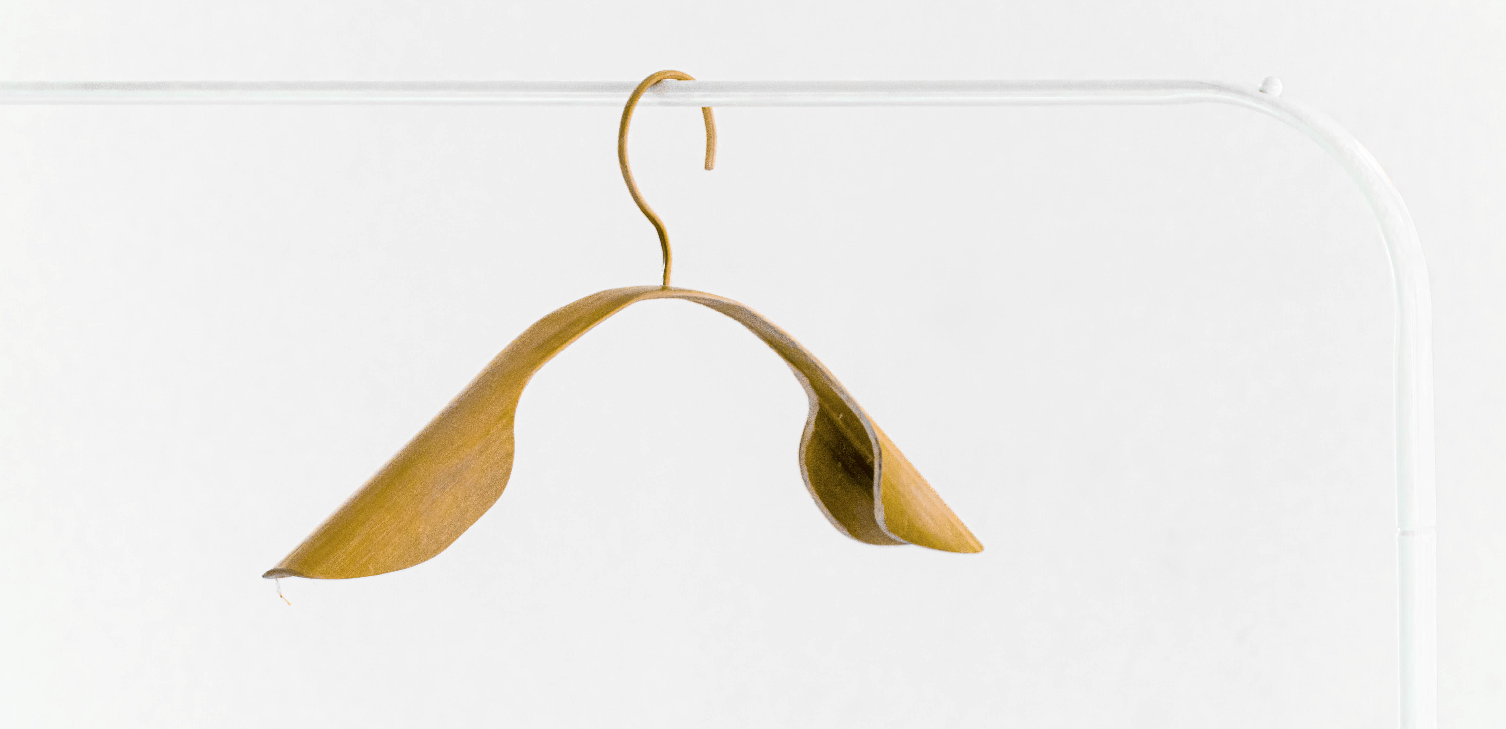 bamboo craft，Bamboo，Seminar，sustainable development，