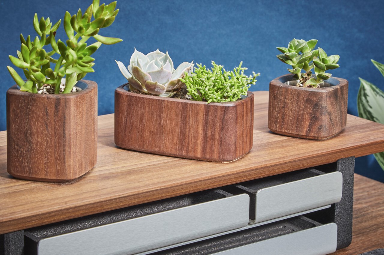 product design，Flowerpot，desk，Design，design，