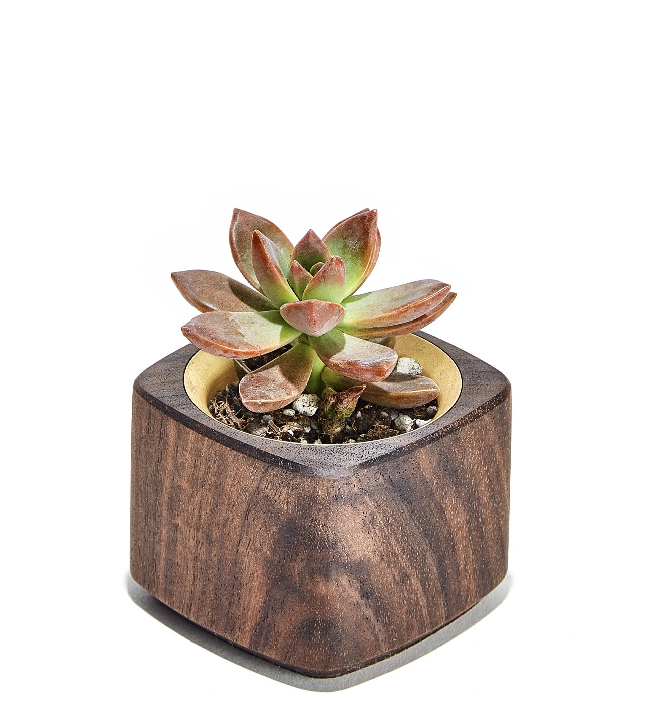 product design，Flowerpot，desk，Design，design，