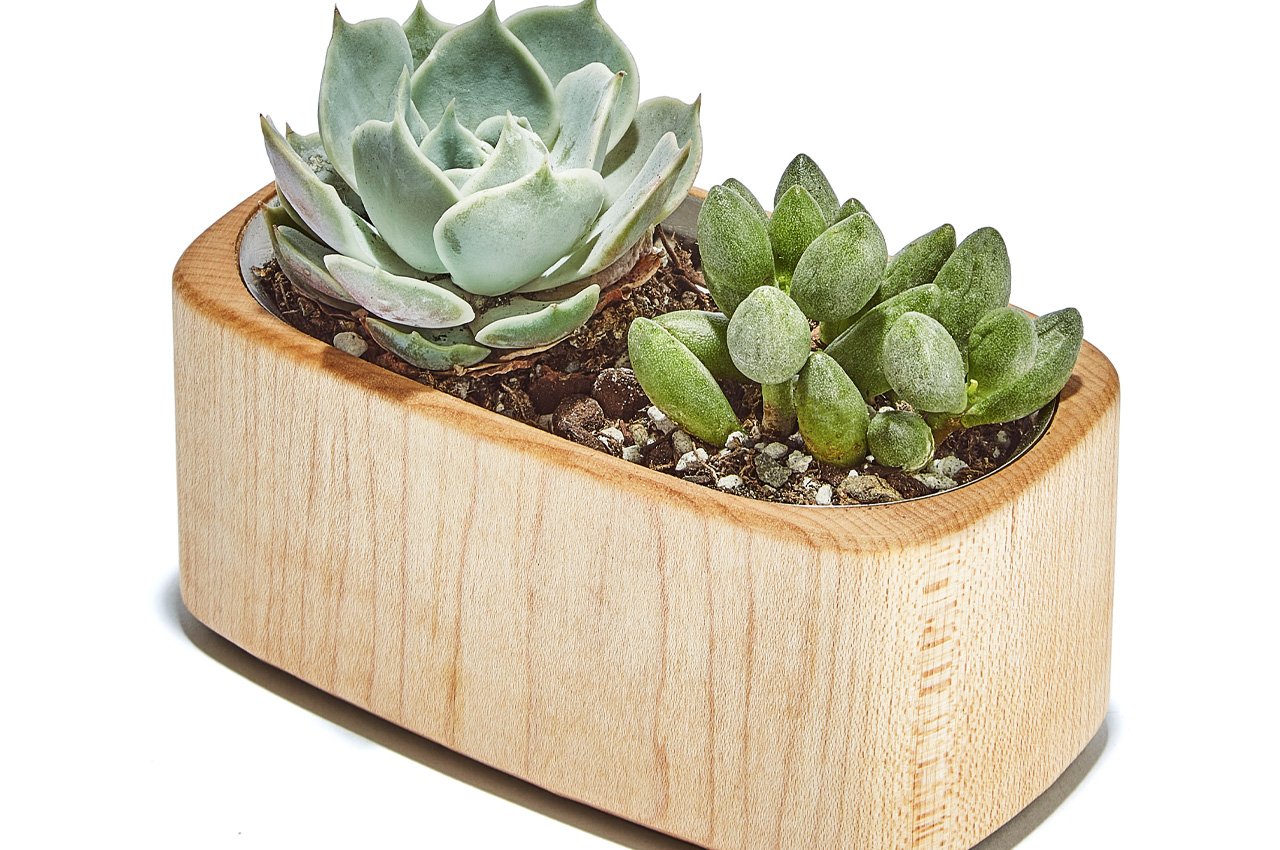 product design，Flowerpot，desk，Design，design，