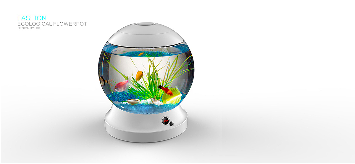 Ecological fish tank，Pets，