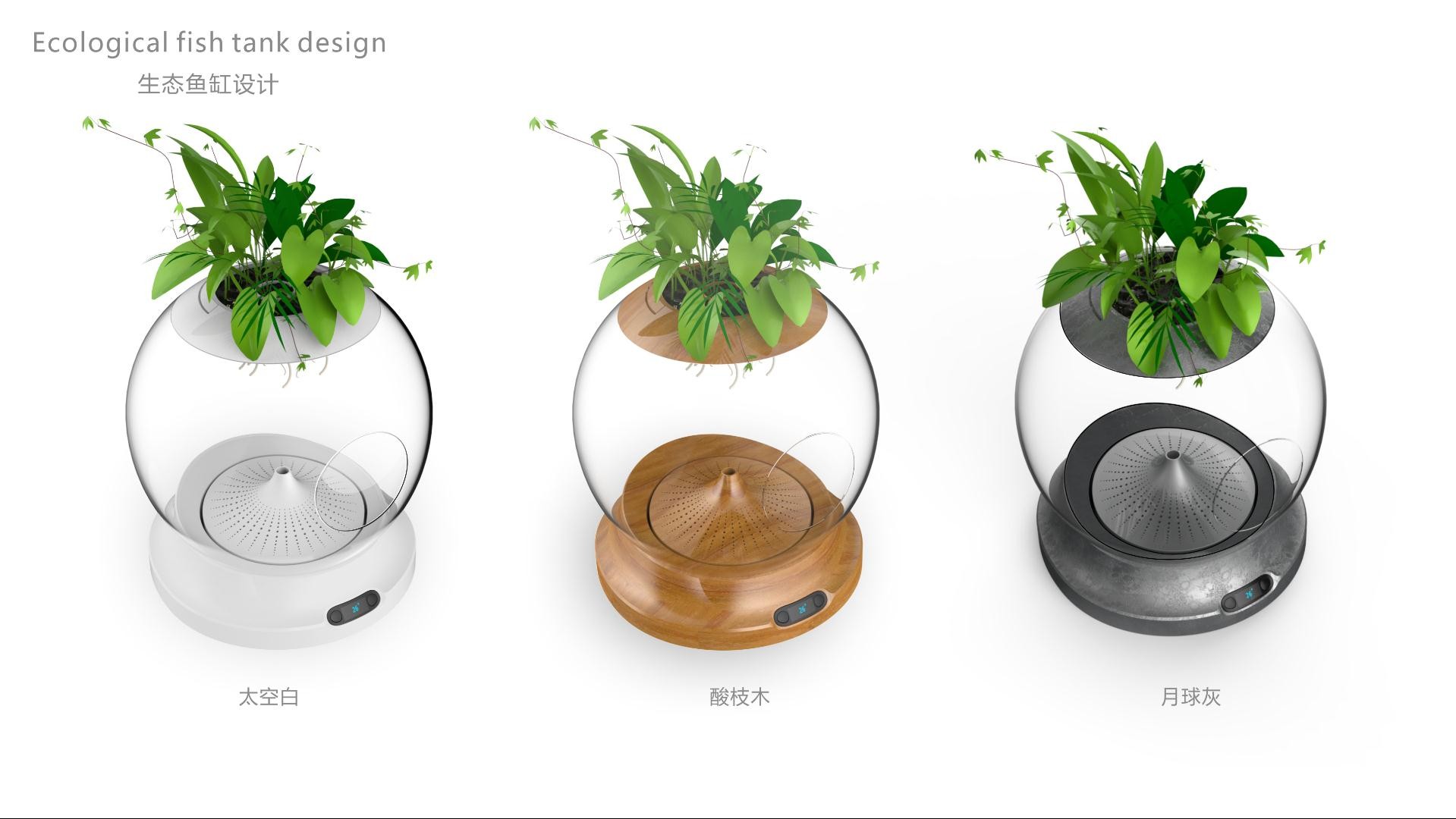 Ecological fish tank，Pets，