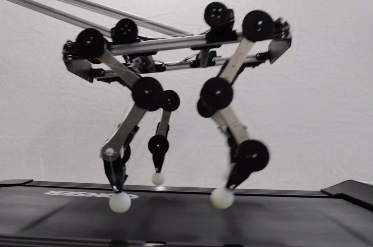Robot dog，Boston power，product design，