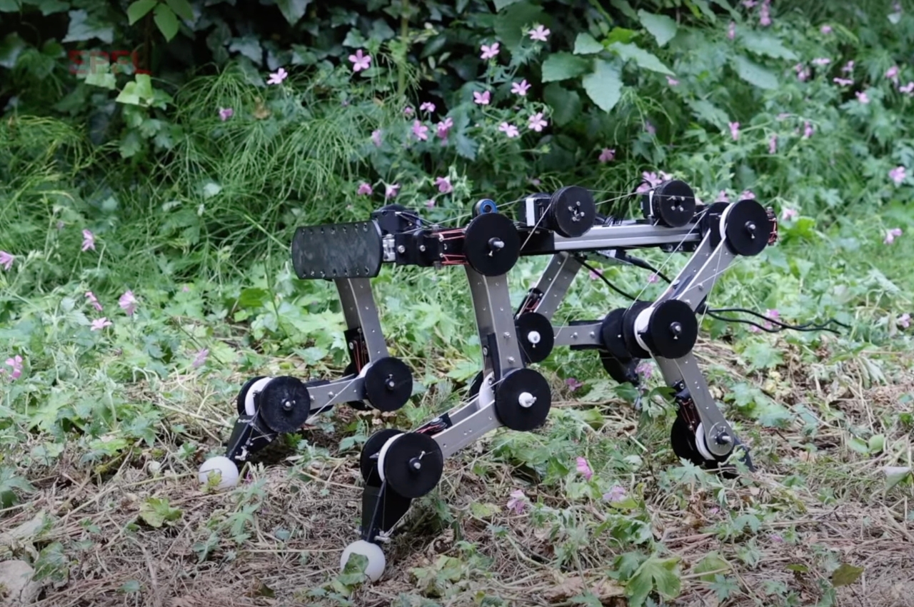 Robot dog，Boston power，product design，