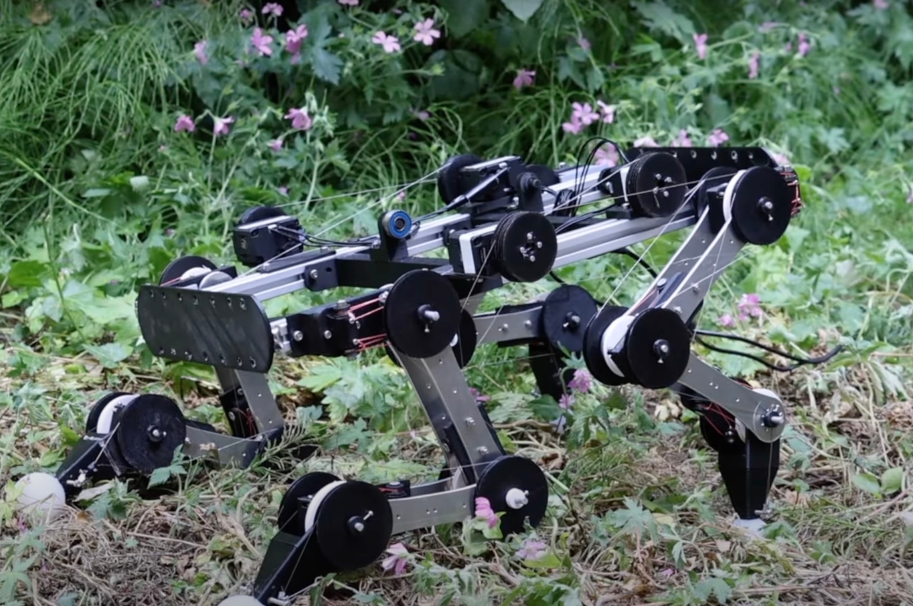 Robot dog，Boston power，product design，