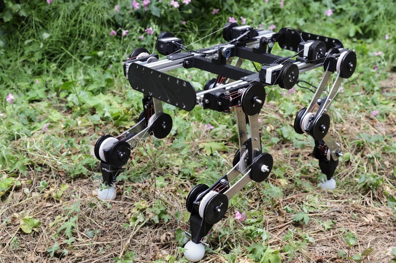 Robot dog，Boston power，product design，