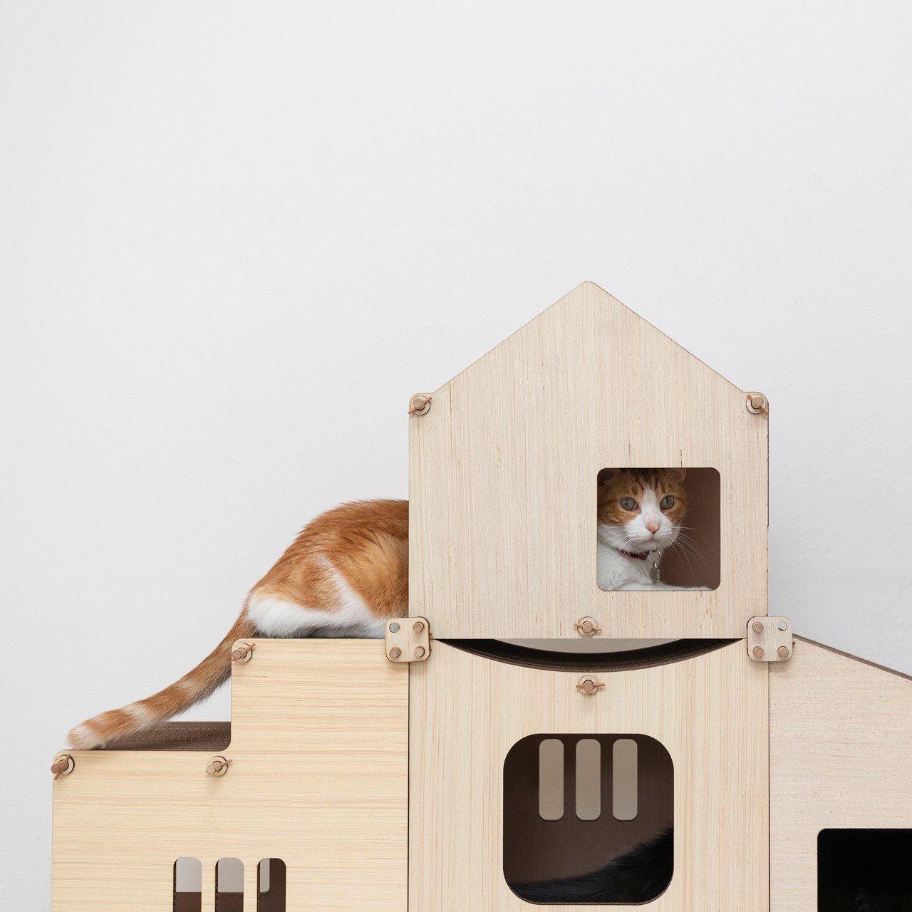 product design，cat，Pet Supplies & Pet，Cat Furniture，modularization，furniture，