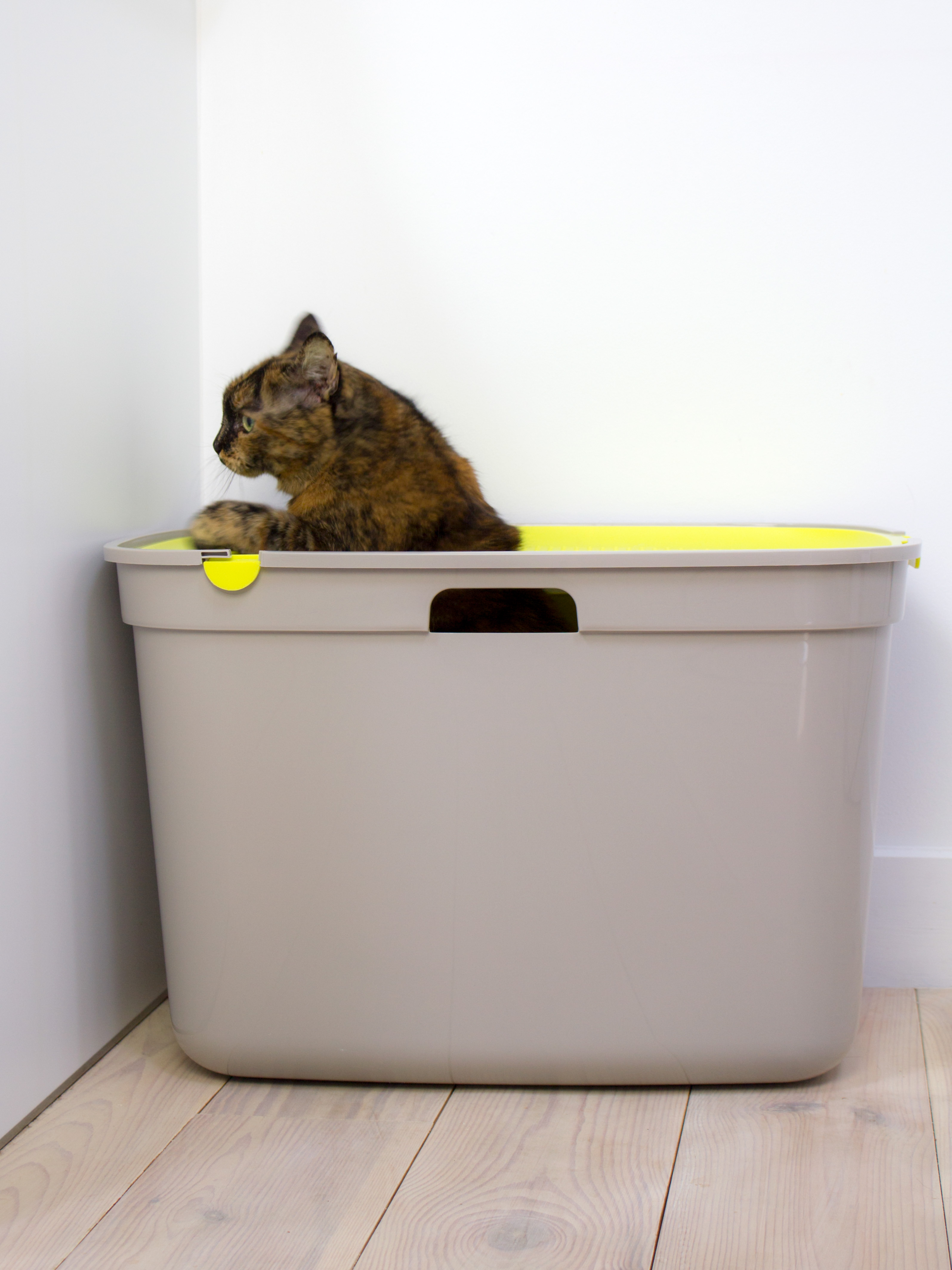 Cat nest，product design，Plastic，grey，