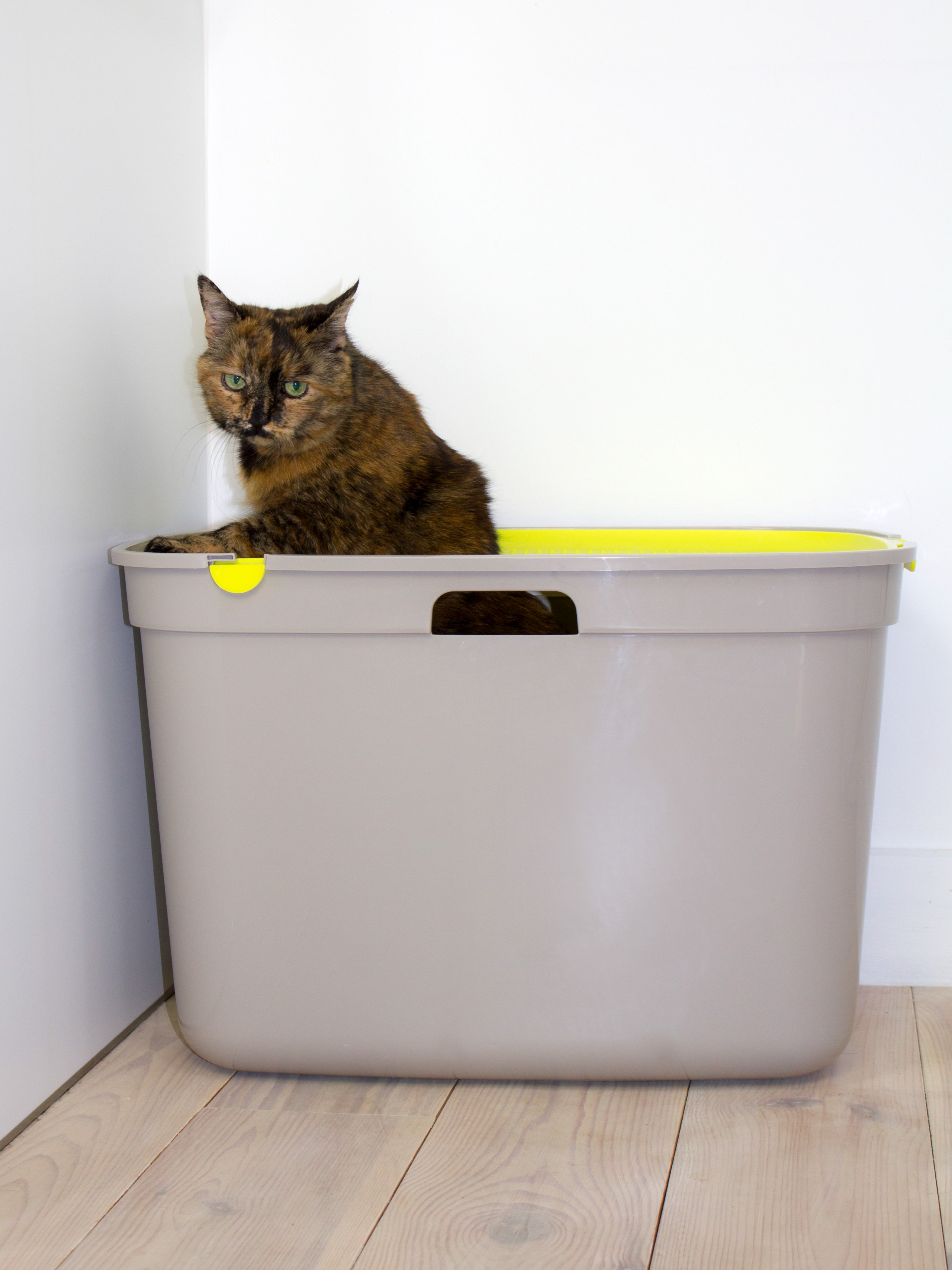 Cat nest，product design，Plastic，grey，