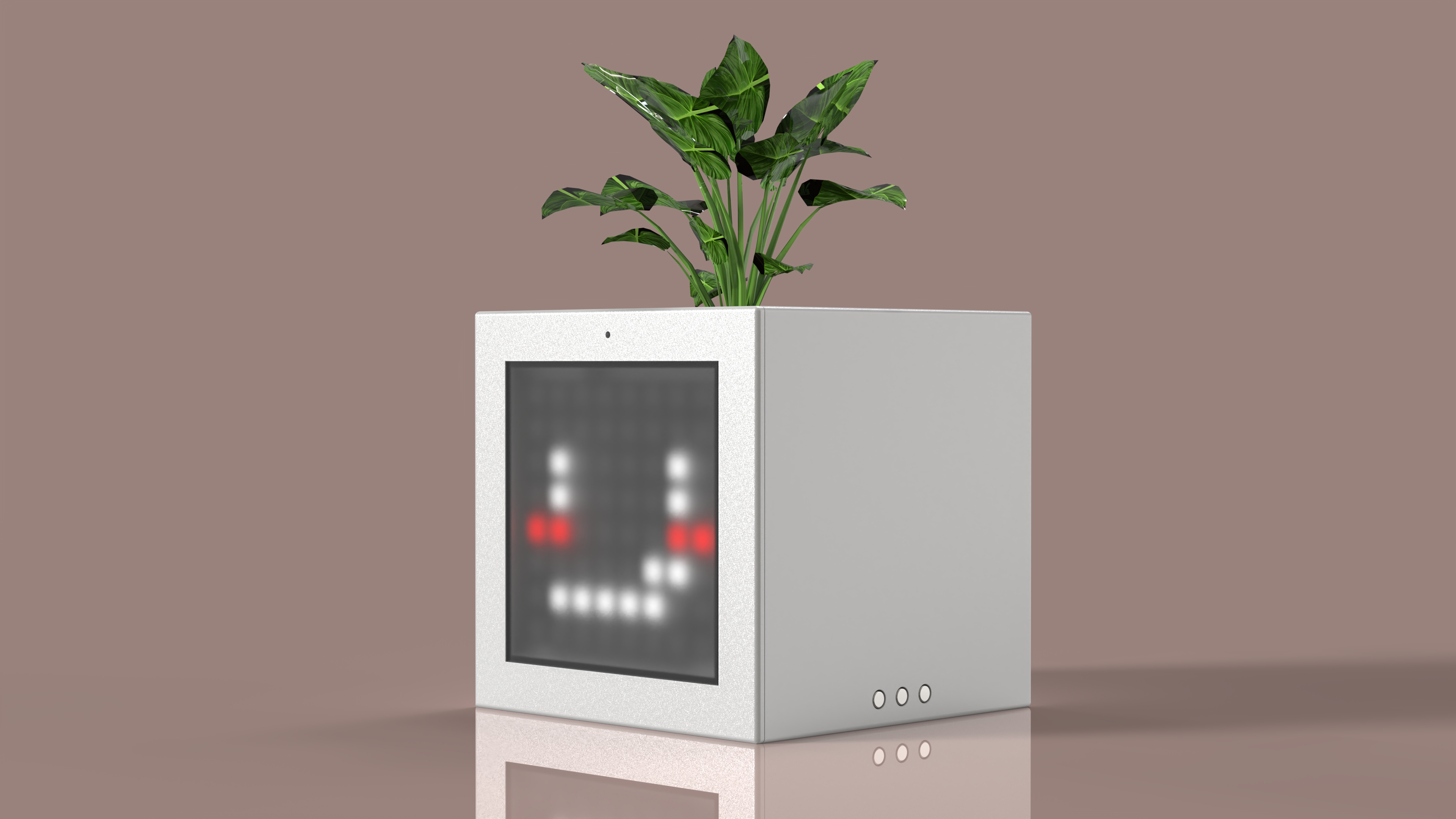 Flowerpot, can it be fun?，