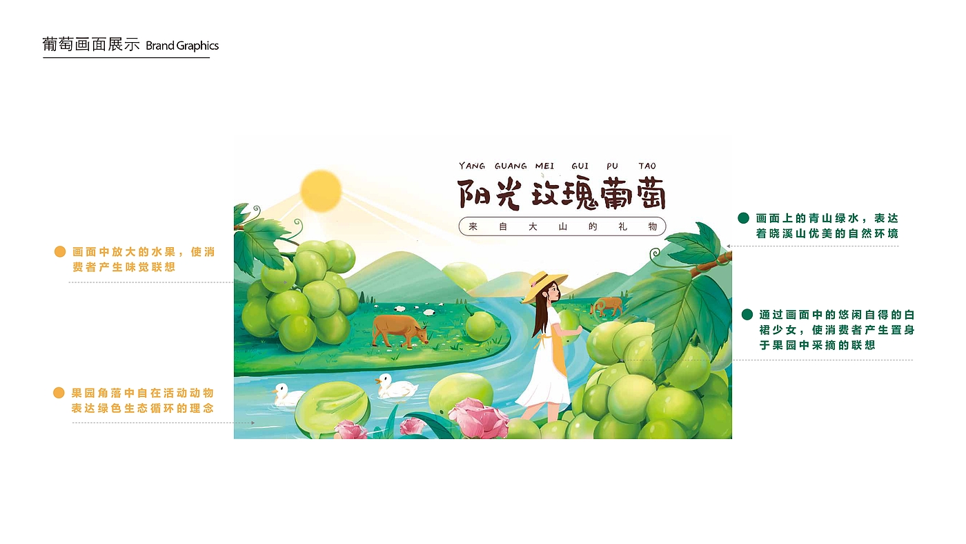 packing design，